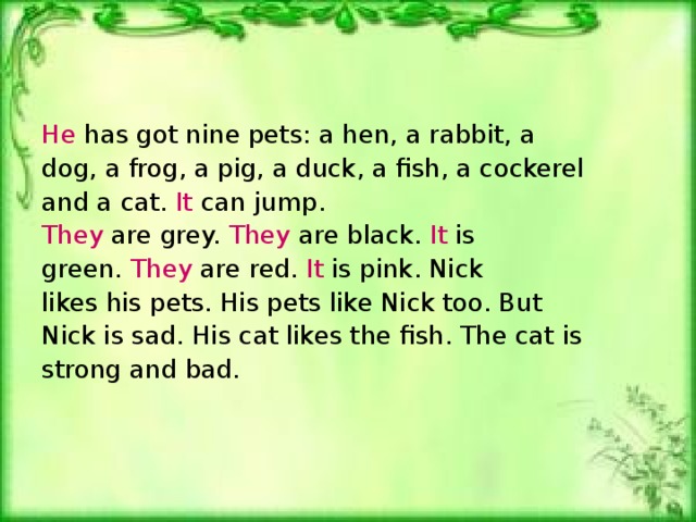 He has got nine pets: a hen, a rabbit, a dog, a frog, a pig, a duck, a fish, a cockerel and a cat. It can jump . They are grey. They are black. It is green. They are red. It is pink. Nick likes his pets. His pets like Nick too. But Nick is sad. His cat likes the fish. The cat is strong and bad.