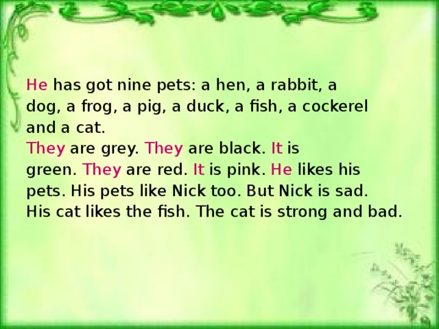 He has got nine pets: a hen, a rabbit, a dog, a frog, a pig, a duck, a fish, a cockerel and a cat. They are grey. They are black. It is green. They are red. It is pink. He likes his pets. His pets like Nick too. But Nick is sad. His cat likes the fish. The cat is strong and bad.