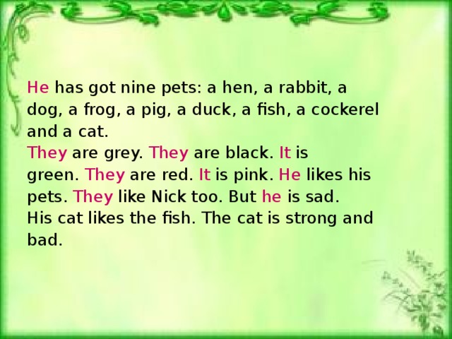 He has got nine pets: a hen, a rabbit, a dog, a frog, a pig, a duck, a fish, a cockerel and a cat. They are grey. They are black. It is green. They are red. It is pink. He likes his pets. They like Nick too. But he is sad. His cat likes the fish. The cat is strong and bad.