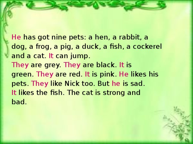 He has got nine pets: a hen, a rabbit, a dog, a frog, a pig, a duck, a fish, a cockerel and a cat. It can jump . They are grey. They are black. It is green. They are red. It is pink. He likes his pets. They like Nick too. But he is sad. It likes the fish. The cat is strong and bad.