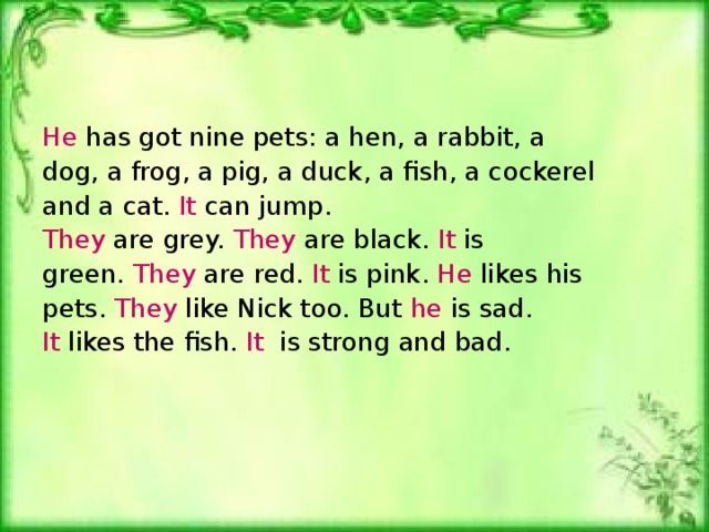 He has got nine pets: a hen, a rabbit, a dog, a frog, a pig, a duck, a fish, a cockerel and a cat.  It can jump . They are grey. They are black. It is green. They are red. It is pink. He likes his pets. They like Nick too. But he is sad. It likes the fish. It is strong and bad.