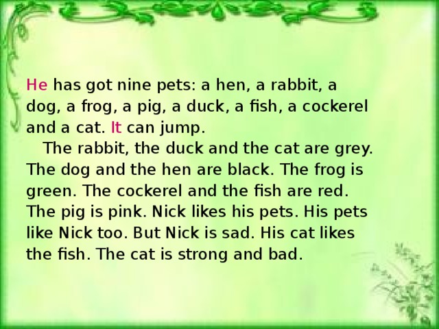He has got nine pets: a hen, a rabbit, a dog, a frog, a pig, a duck, a fish, a cockerel and a cat. It can jump .  The rabbit, the duck and the cat are grey. The dog and the hen are black. The frog is green. The cockerel and the fish are red. The pig is pink. Nick likes his pets. His pets like Nick too. But Nick is sad. His cat likes the fish. The cat is strong and bad.