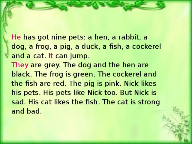 He has got nine pets: a hen, a rabbit, a dog, a frog, a pig, a duck, a fish, a cockerel and a cat. It can jump . They are grey. The dog and the hen are black. The frog is green. The cockerel and the fish are red. The pig is pink. Nick likes his pets. His pets like Nick too. But Nick is sad. His cat likes the fish. The cat is strong and bad.
