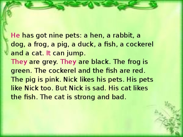 He has got nine pets: a hen, a rabbit, a dog, a frog, a pig, a duck, a fish, a cockerel and a cat. It can jump . They are grey. They are black. The frog is green. The cockerel and the fish are red. The pig is pink. Nick likes his pets. His pets like Nick too. But Nick is sad. His cat likes the fish. The cat is strong and bad.