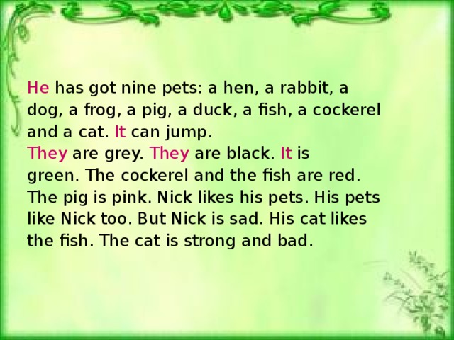He has got nine pets: a hen, a rabbit, a dog, a frog, a pig, a duck, a fish, a cockerel and a cat. It can jump . They are grey. They are black. It is green. The cockerel and the fish are red. The pig is pink. Nick likes his pets. His pets like Nick too. But Nick is sad. His cat likes the fish. The cat is strong and bad.