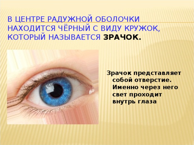 В ЦЕНТРЕ РАДУЖНОЙ ОБОЛОЧКИ НАХОДИТСЯ ЧЁРНЫЙ С ВИДУ КРУЖОК, КОТОРЫЙ НАЗЫВАЕТСЯ ЗРАЧОК. Зрачок представляет собой отверстие. Именно через него свет проходит внутрь глаза