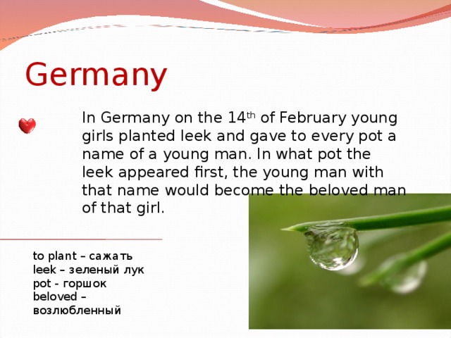 Germany In Germany on the 14 th of February young girls planted leek and gave to every pot a name of a young man. In what pot the leek appeared first, the young man with that name would become the beloved man of that girl. to plant – сажать leek – зеленый лук pot - горшок  beloved – возлюбленный