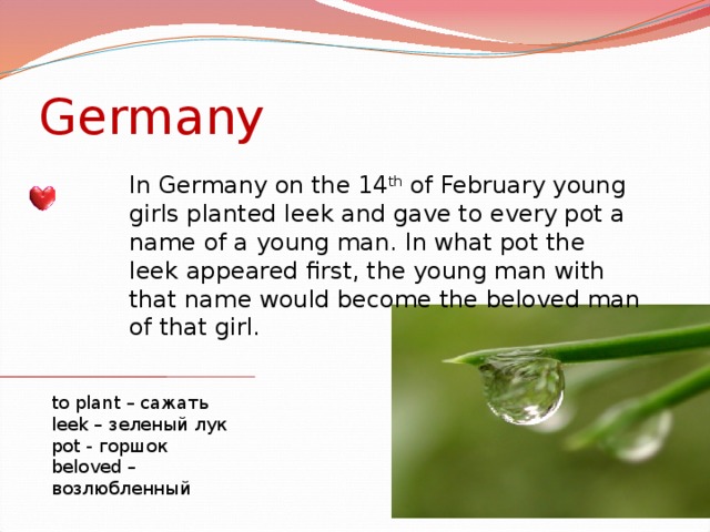 Germany In Germany on the 14 th of February young girls planted leek and gave to every pot a name of a young man. In what pot the leek appeared first, the young man with that name would become the beloved man of that girl. to plant – сажать leek – зеленый лук pot - горшок beloved – возлюбленный