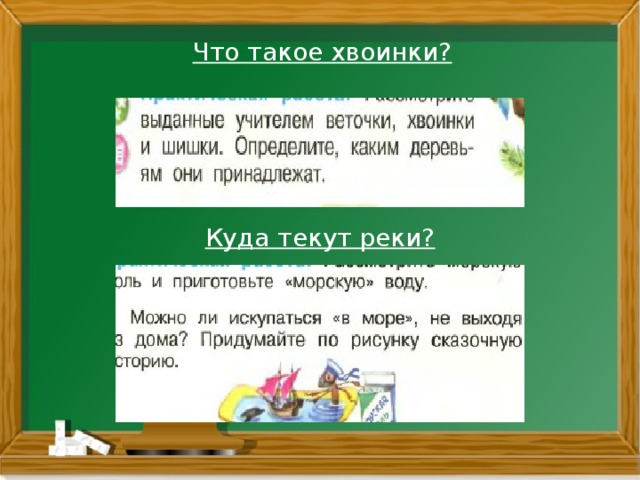 Что такое хвоинки? Куда текут реки?