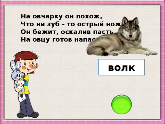 На овчарку он похож, Что ни зуб - то острый нож! Он бежит, оскалив пасть, На овцу готов напасть. волк