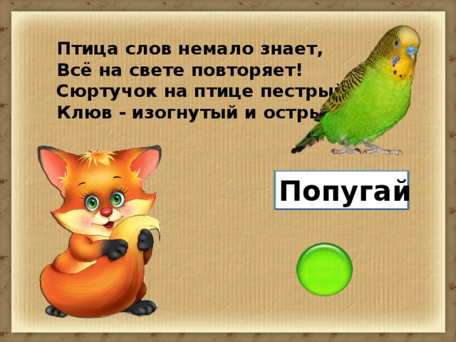 Птица слов немало знает, Всё на свете повторяет! Сюртучок на птице пестрый, Клюв - изогнутый и острый! Попугай