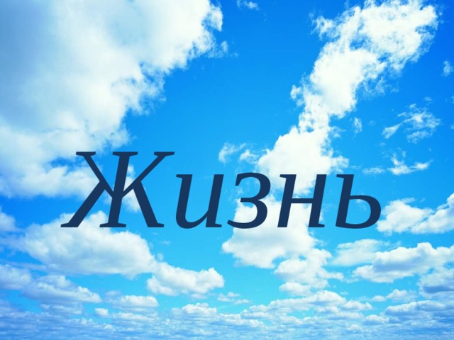 Жизнь