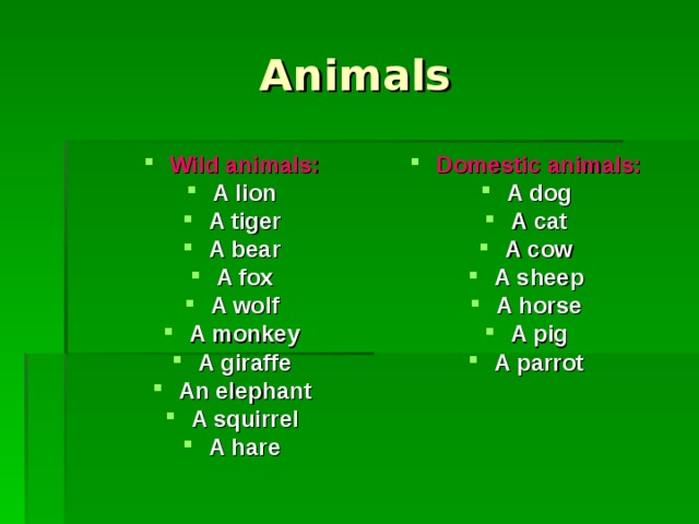 Animals Wild animals : A lion A tiger A bear A fox A wolf A monkey A giraffe An elephant A squirrel A hare  Domestic animals : A dog A cat A cow A sheep A horse A pig A parrot