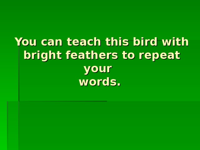 You can teach this bird with bright feathers to repeat your  words.
