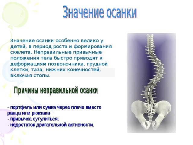 Значение осанки особенно велико у детей, в период роста и формирования скелета. Неправильные привычные положения тела быстро приводят к деформациям позвоночника, грудной клетки, таза, нижних конечностей, включая стопы.  - портфель или сумка через плечо вместо ранца или рюкзака - привычка сутулиться; - недостаток двигательной активности.