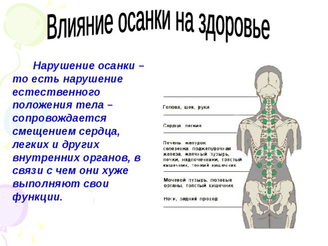 Нарушение осанки – то есть нарушение естественного положения тела – сопровождается смещением сердца, легких и других внутренних органов, в связи с чем они хуже выполняют свои функции.