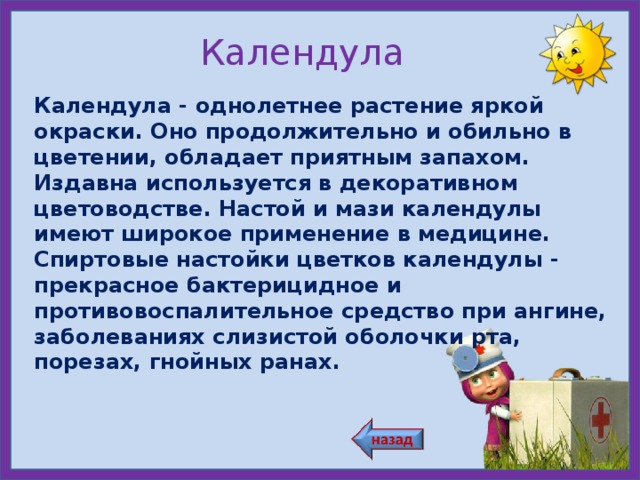 Календула Календула - однолетнее растение яркой окраски. Оно продолжительно и обильно в цветении, обладает приятным запахом. Издавна используется в декоративном цветоводстве. Настой и мази календулы имеют широкое применение в медицине. Спиртовые настойки цветков календулы - прекрасное бактерицидное и противовоспалительное средство при ангине, заболеваниях слизистой оболочки рта, порезах, гнойных ранах.