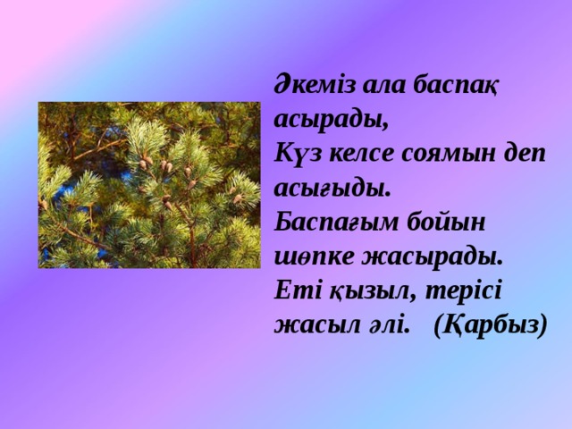 Әкеміз ала баспақ асырады,  Күз келсе соямын деп асығыды.  Баспағым бойын шөпке жасырады.  Еті қызыл, терісі жасыл әлі.   (Қарбыз)