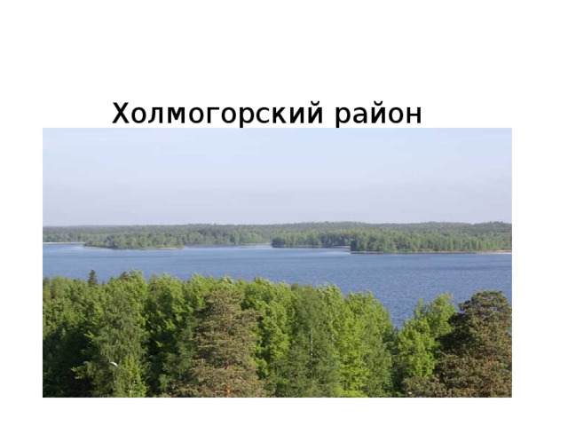Холмогорский район
