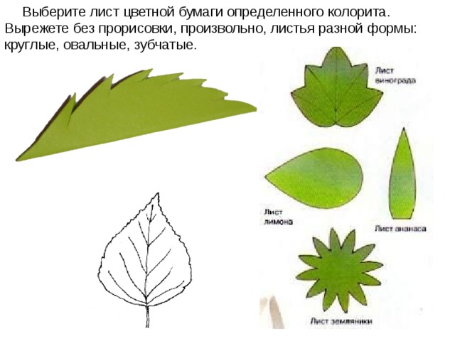 Выберите лист цветной бумаги определенного колорита. Вырежете без прорисовки, произвольно, листья разной формы: круглые, овальные, зубчатые.