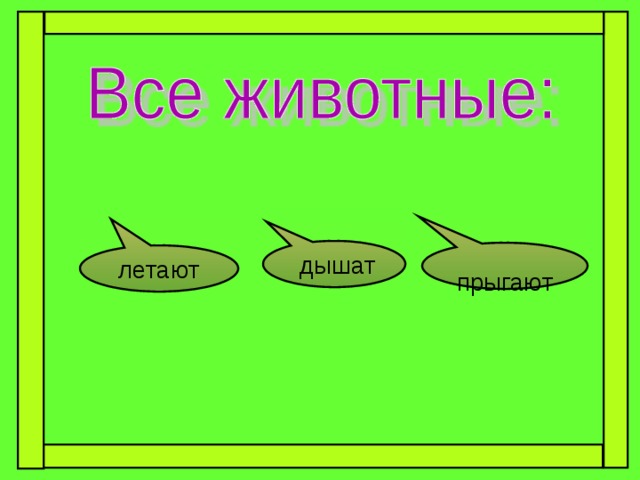 дышат  прыгают летают