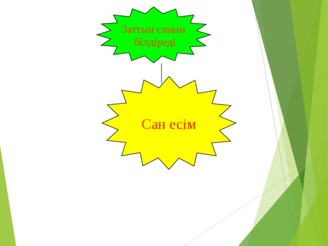 Заттың санын  білдіреді Сан есім