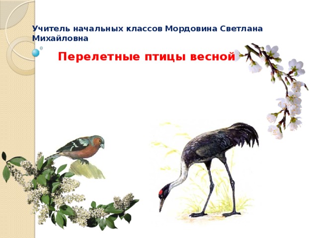 Учитель начальных классов Мордовина Светлана Михайловна Перелетные птицы весной