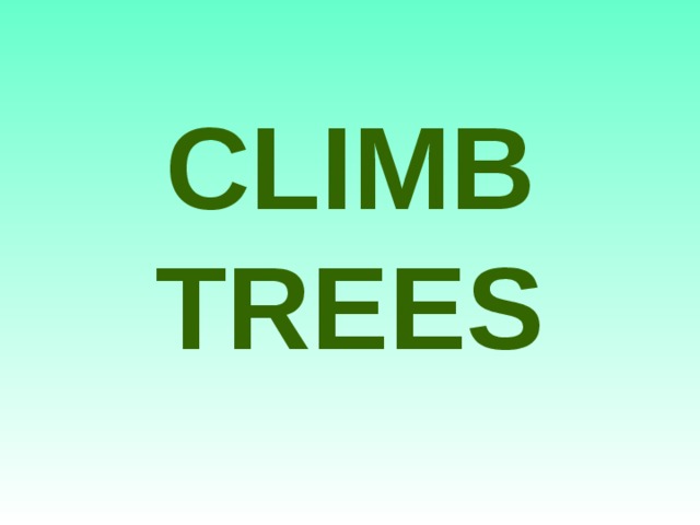 CLIMB TREES