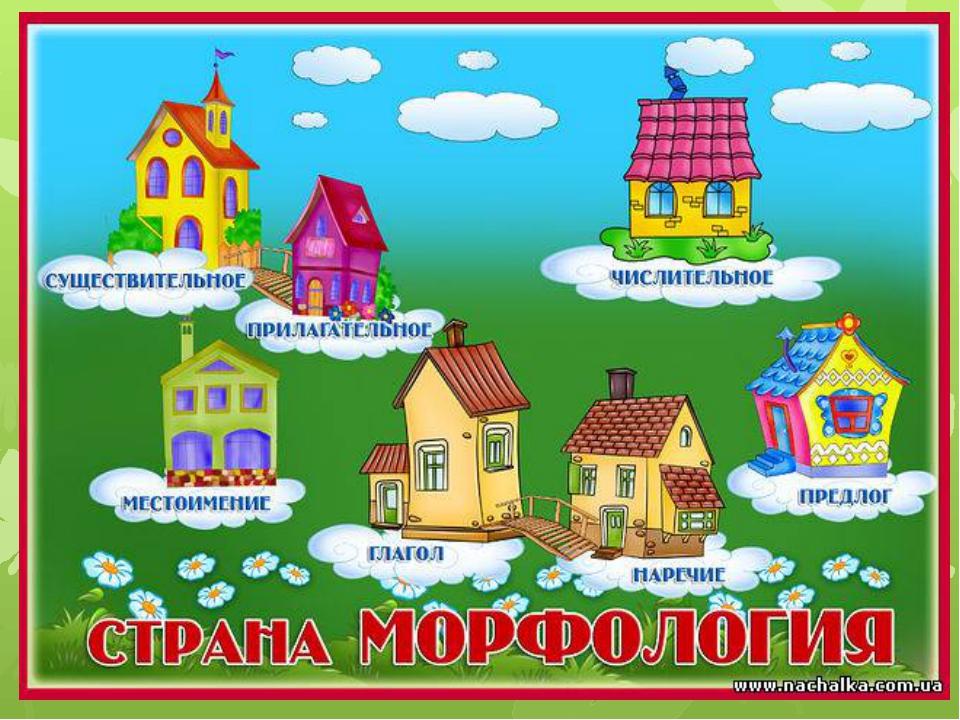 Город морфология рисунок