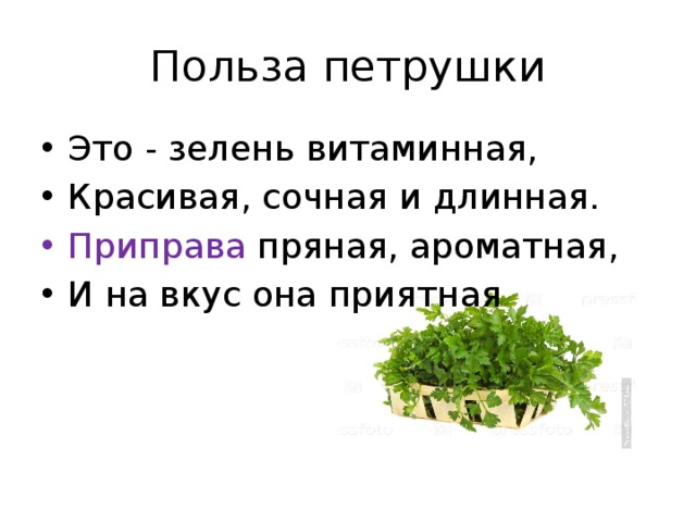 Польза петрушки