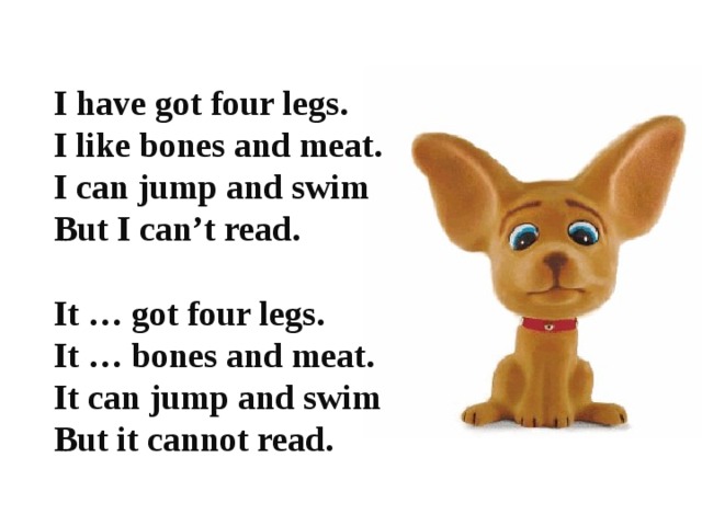 I have got four legs. I like bones and meat. I can jump and swim But I can’t read.  It … got four legs. It … bones and meat. It can jump and swim But it cannot read.