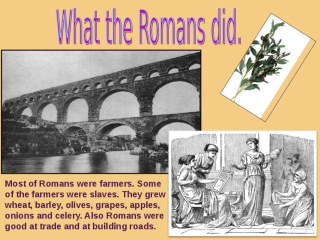 Most of Romans were farmers. Some of the farmers were slaves. They grew wheat, barley, olives, grapes, apples, onions and celery. Also Romans were good at trade and at building roads.