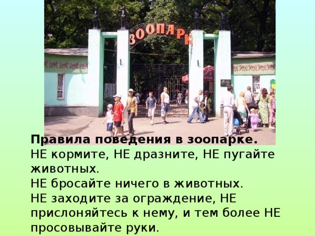 Правила поведения в зоопарке. НЕ кормите, НЕ дразните, НЕ пугайте животных. НЕ бросайте ничего в животных. НЕ заходите за ограждение, НЕ прислоняйтесь к нему, и тем более НЕ просовывайте руки. Соблюдайте ЧИСТОТУ и ТИШИНУ.