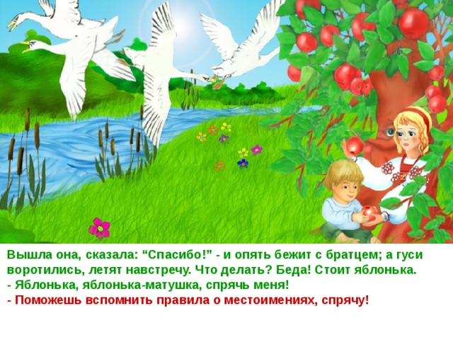 Вышла она, сказала: “Спасибо!” - и опять бежит с братцем; а гуси воротились, летят навстречу. Что делать? Беда! Стоит яблонька. - Яблонька, яблонька-матушка, спрячь меня! - Поможешь вспомнить правила о местоимениях, спрячу!