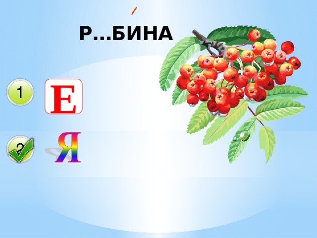 Р…БИНА Е