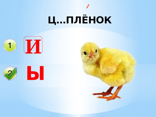 Ц…ПЛЁНОК И ы