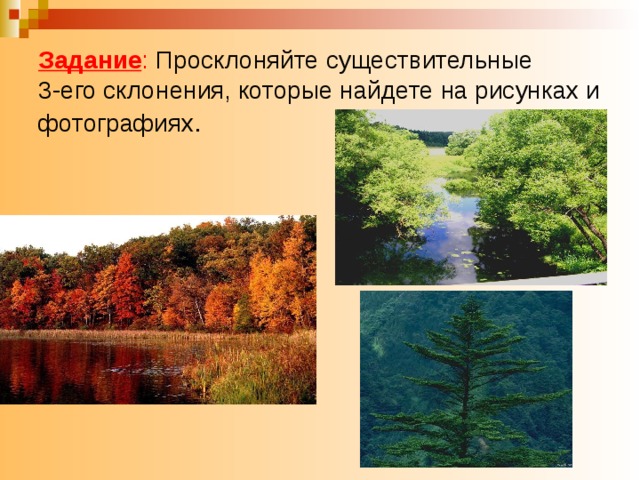 Задание : Просклоняйте существительные  3-его склонения, которые найдете на рисунках и фотографиях .