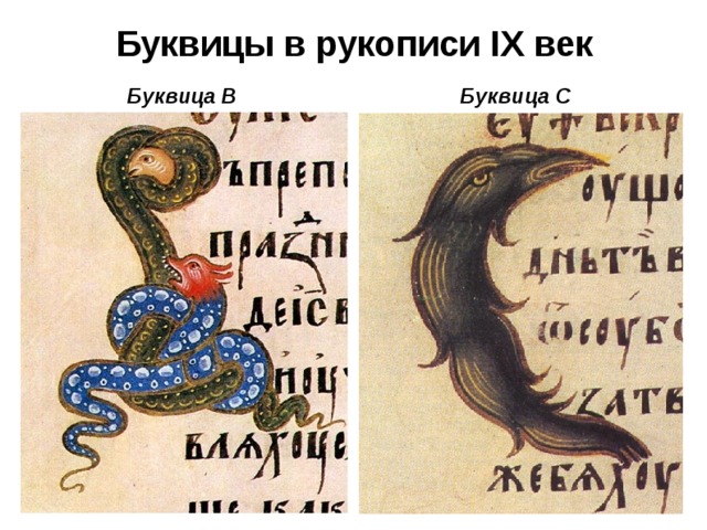 Буквицы в рукописи IX век Буквица В Буквица С
