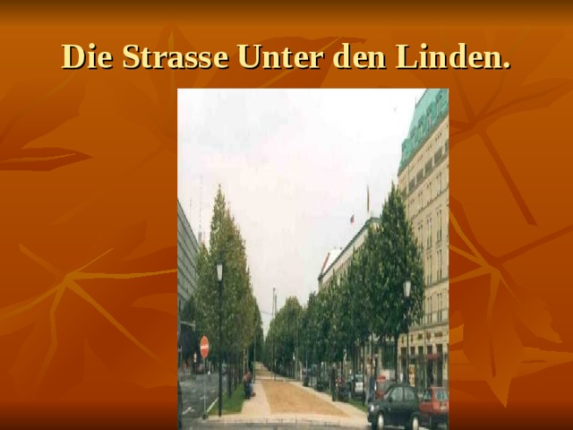 Die Strasse Unter den Linden.