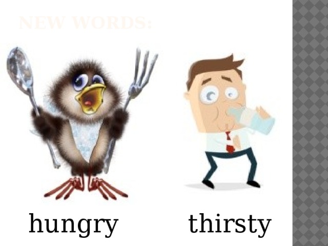 New words:   hungry thirsty