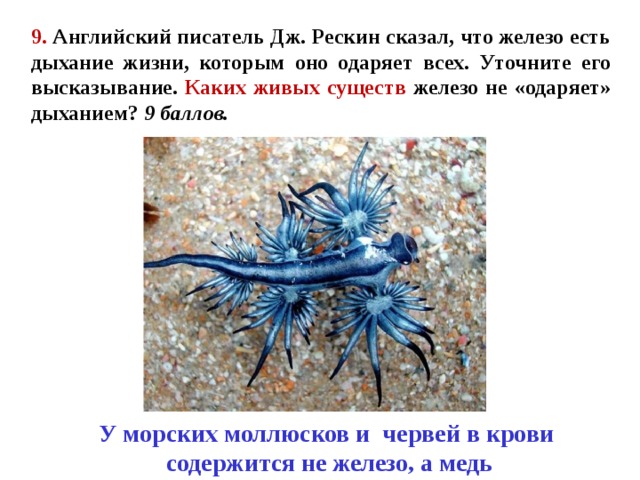 9. Английский писатель Дж. Рескин сказал, что железо есть дыхание жизни, которым оно одаряет всех. Уточните его высказывание. Каких живых существ железо не «одаряет» дыханием? 9 баллов. У морских моллюсков и червей в крови  содержится не железо, а медь