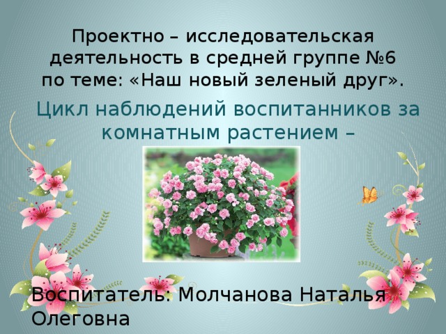 Проектно – исследовательская деятельность в средней группе №6  по теме: «Наш новый зеленый друг». Цикл наблюдений воспитанников за комнатным растением – «Бальзамин». Воспитатель: Молчанова Наталья Олеговна