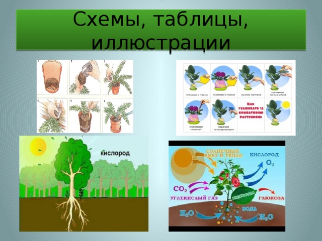 Схемы, таблицы, иллюстрации