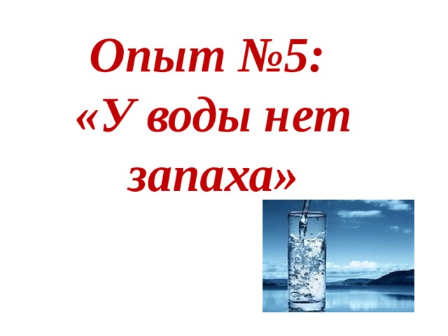 Опыт №5:  «У воды нет запаха»