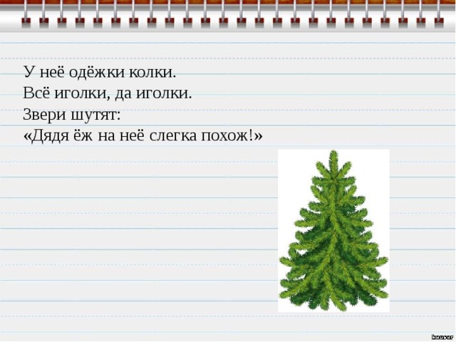 У неё одёжки колки. Всё иголки, да иголки. Звери шутят: «Дядя ёж на неё слегка похож!»