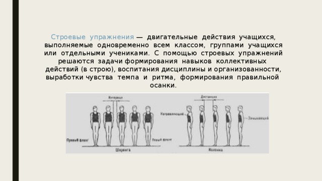 Строевые упражнения — двигательные действия учащихся, выполняемые одновременно всем классом, группами учащихся или отдельными учениками. С помощью строевых упражнений решаются задачи формирования навыков коллективных действий (в строю), воспитания дисциплины и организованности, выработки чувства темпа и ритма, формирования правильной осанки.