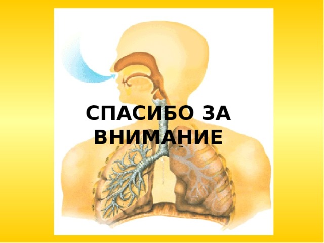 СПАСИБО ЗА ВНИМАНИЕ