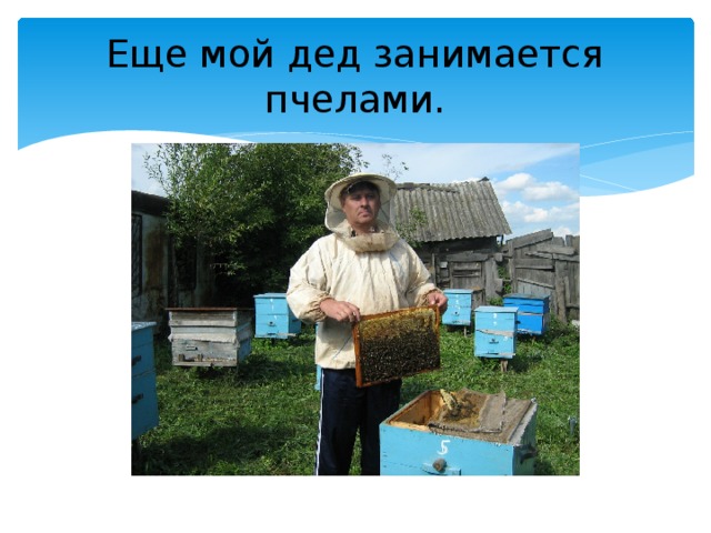Еще мой дед занимается пчелами.