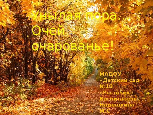 Унылая пора… Очей очарованье! МАДОУ «Детский сад №18 «Росточек» Воспитатель: Надешкина М.С .