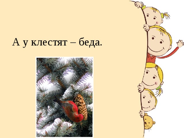 А у клестят – беда.